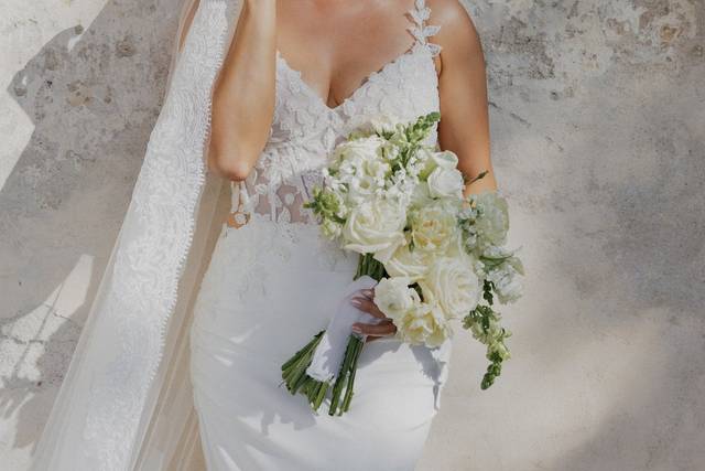 Bridal portrait capturing eleg