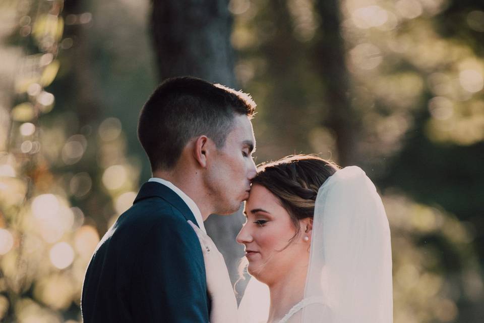Willis wedding 2018