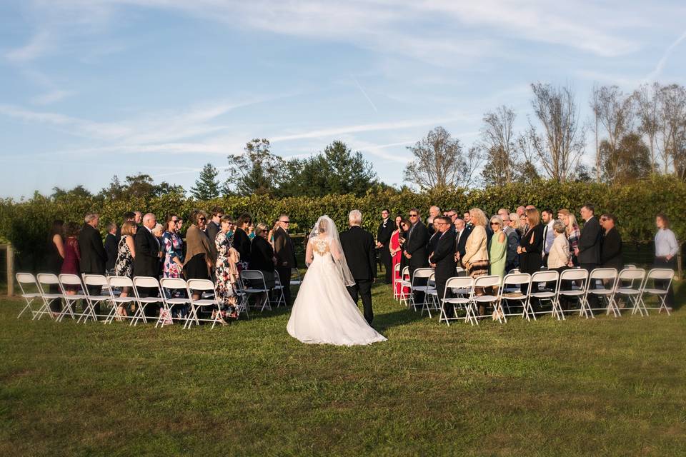 The wedding ceremony