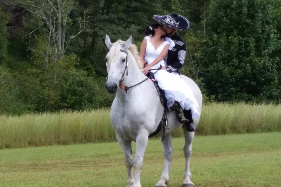 Carolina Horse and Carriage