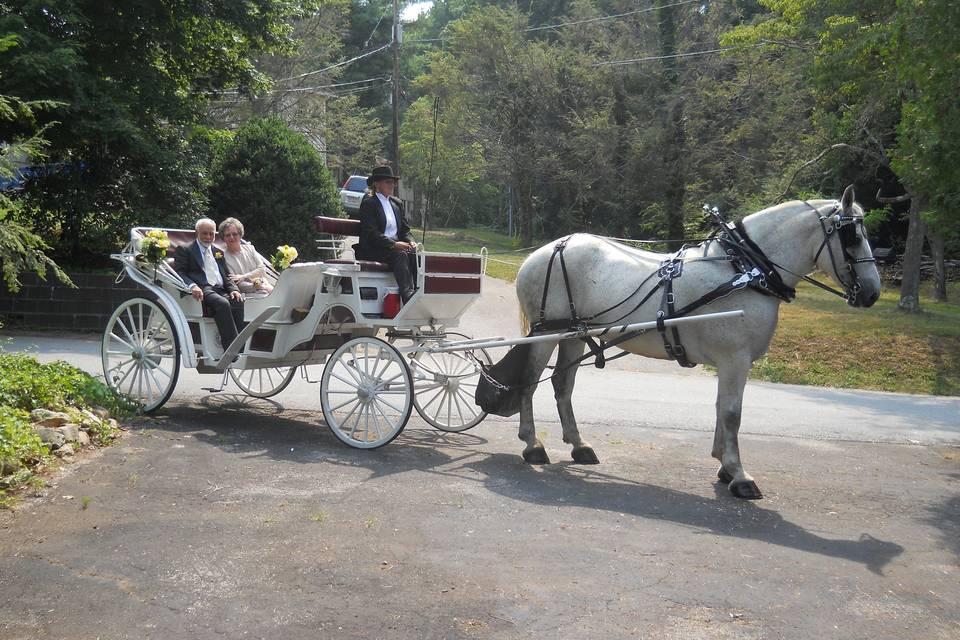 Carolina Horse and Carriage