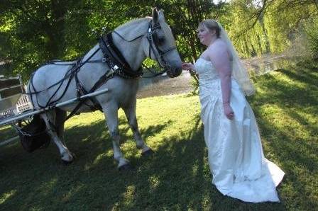 Horse with bride