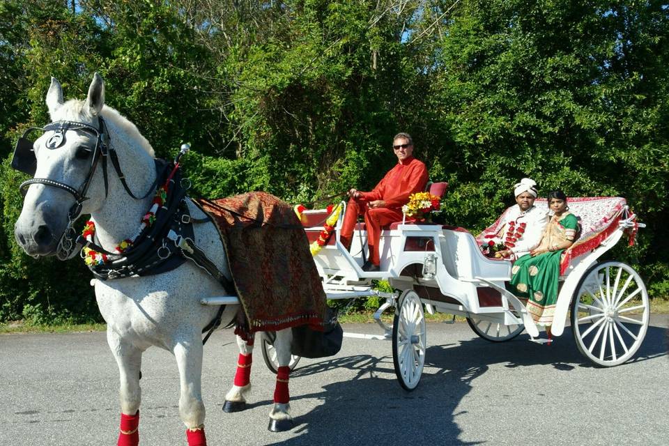 Colorful horse (Baraat)