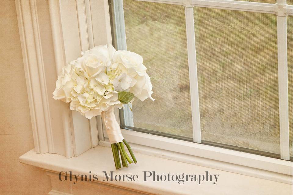 Glynis Morse Photography
