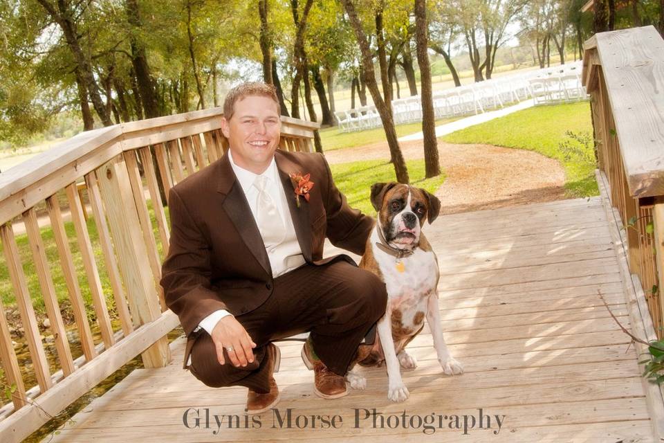 Glynis Morse Photography