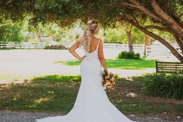 Jessica Lynn Wedding Dress