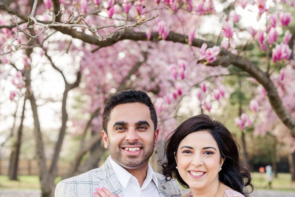 DC Engagement