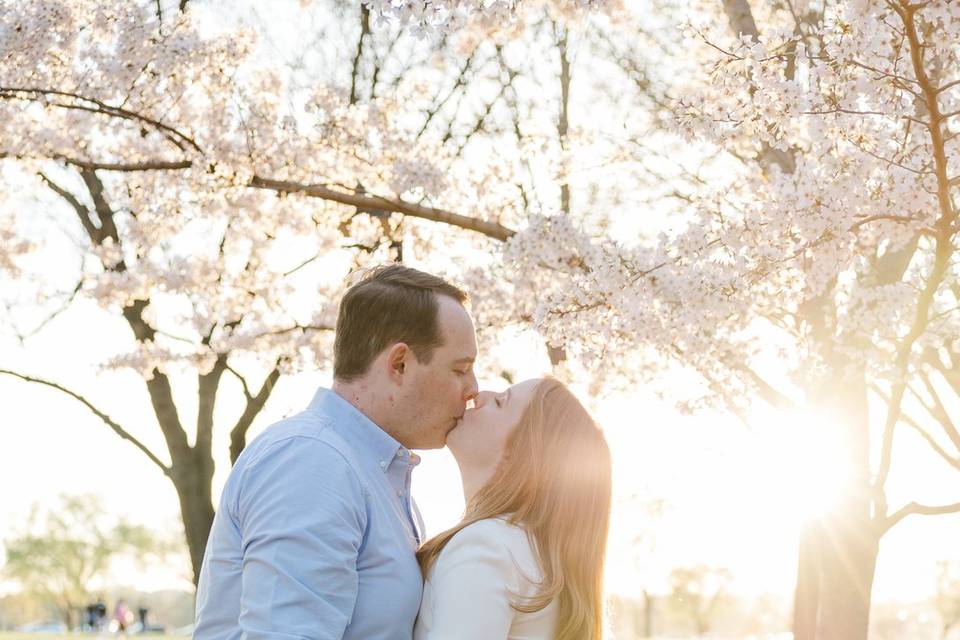 DC Engagement