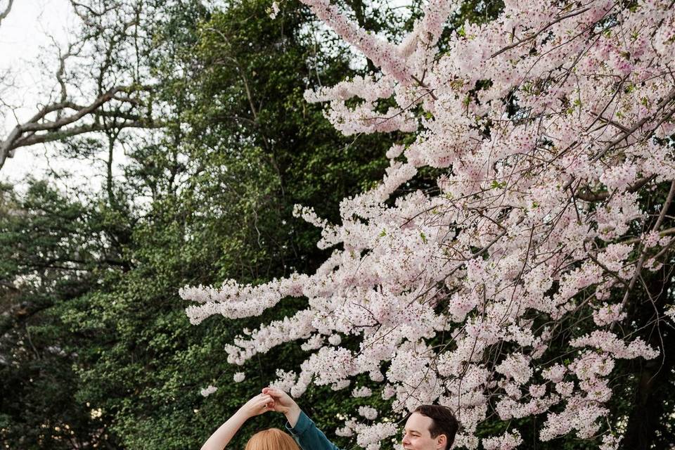 DC Engagement