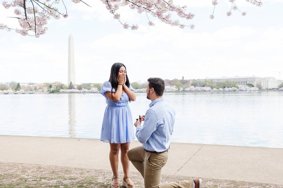 DC Engagement
