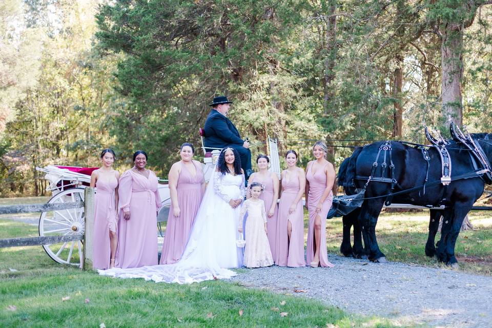 DC Wedding Party