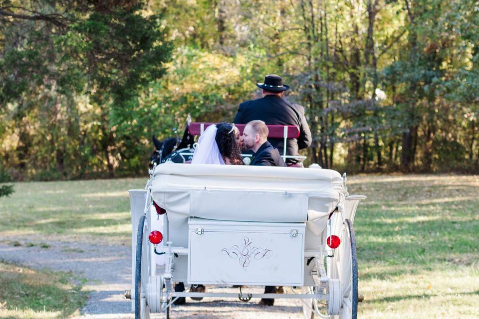 DC Wedding