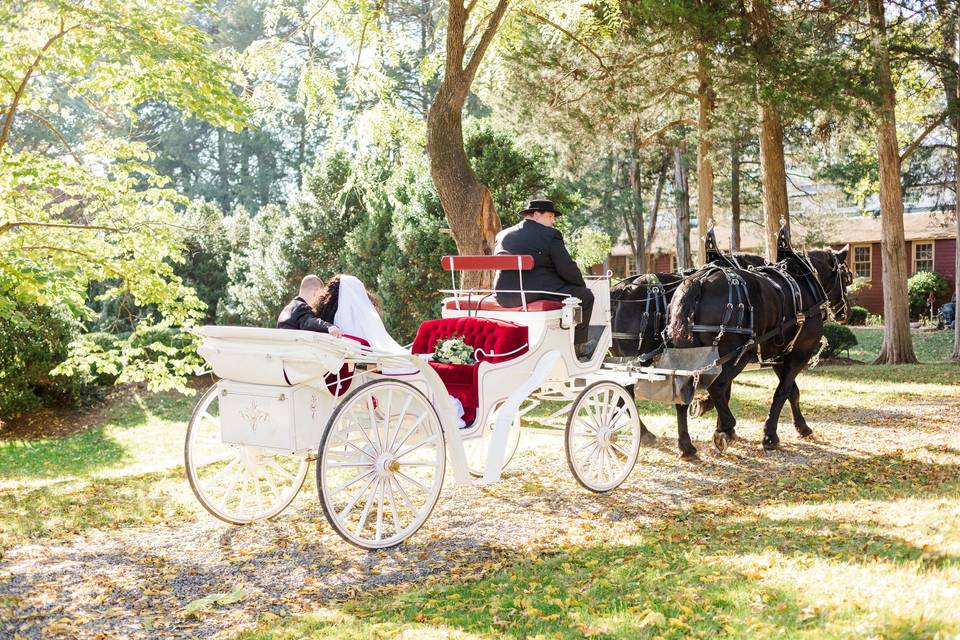 Horse Drawn Carriage