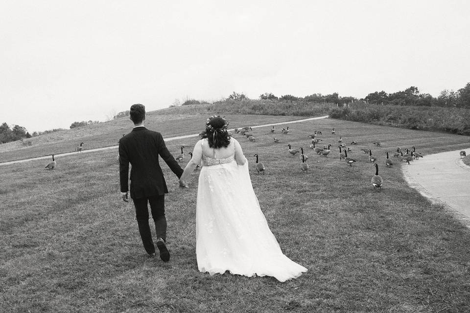 Wedding