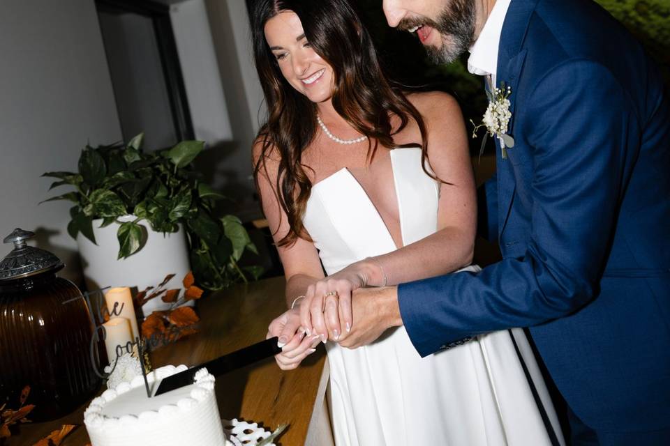 Cake Cutting