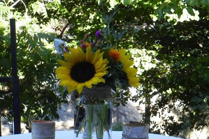 Distinctly Elegant Event Design
