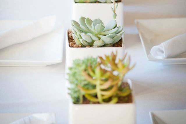 Table centerpiece