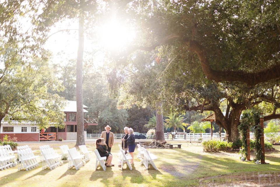 Ceremony under kissing oaks