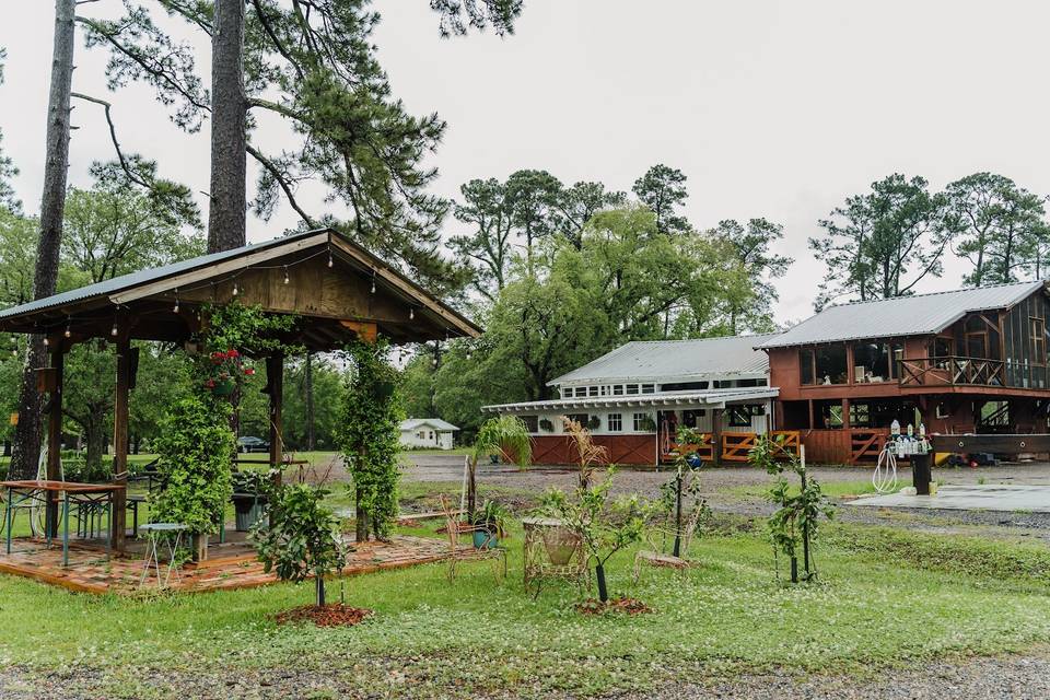 Lush greens in the spring rain