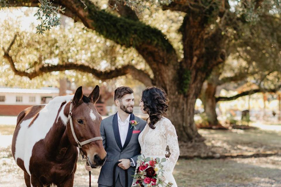 Towering Oaks and horses