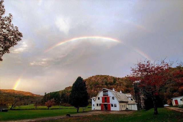 Wag Valley Farm
