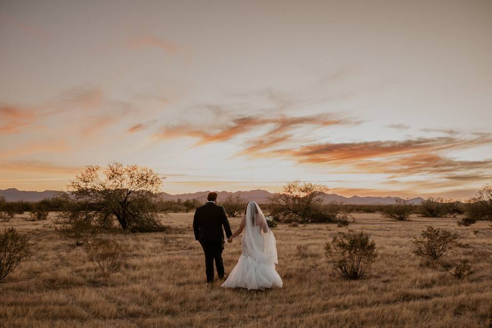 Golden hour - Sarah Fischer Photography