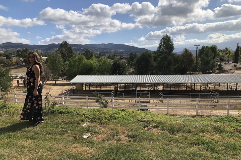 Views at Vista Ranch