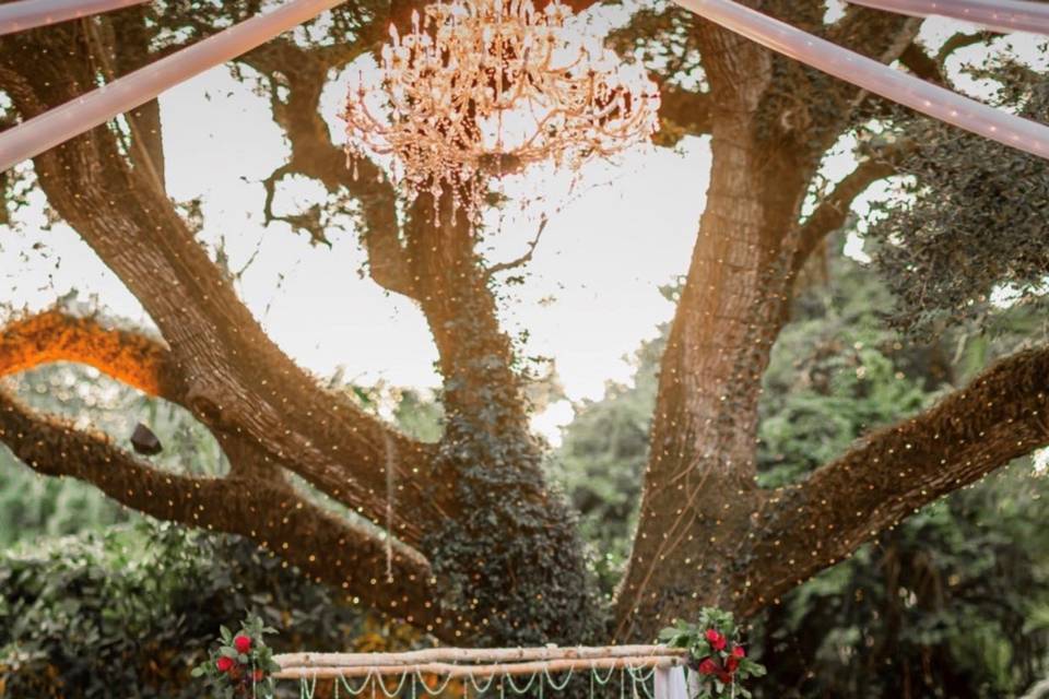 A Lavish Event Design