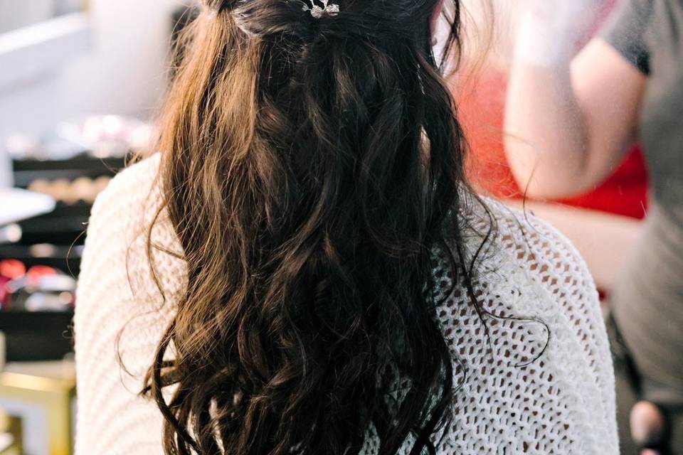 Embellished hair clips