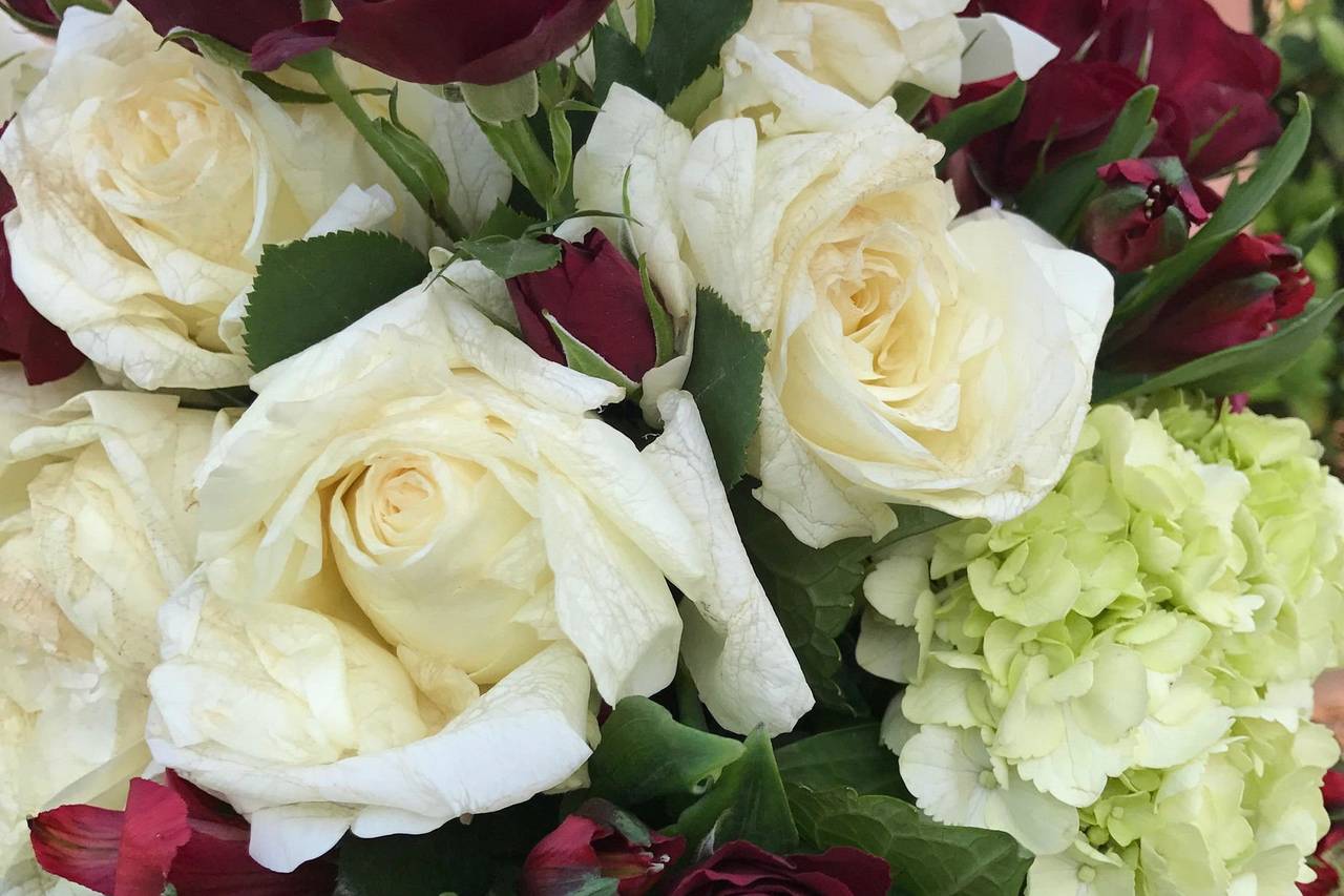 La Vie en Rose Floral & Event Designs Flowers Tampa, FL WeddingWire