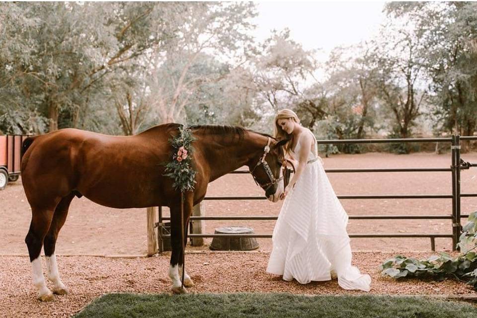 Bride & Horse with corsage