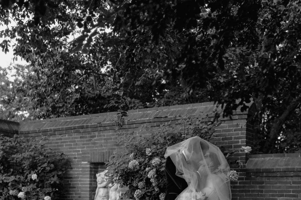 Veil portrait of couple