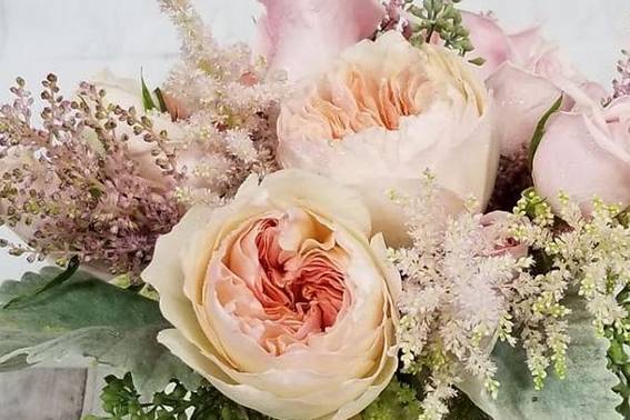 Peach Garden Roses