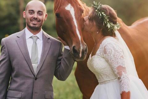 Brides horse