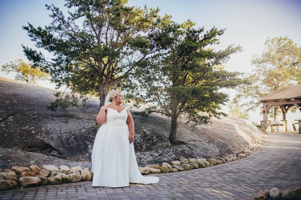 Bridal portrait