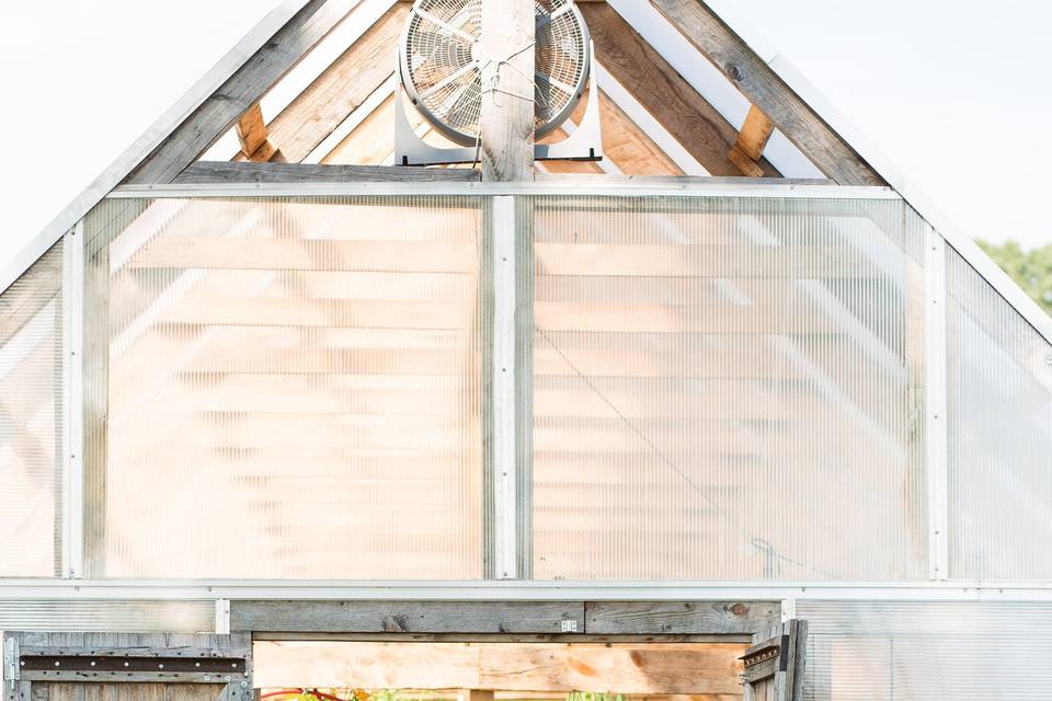 Another shot of Bride and Groom at Atrium Greenhouse