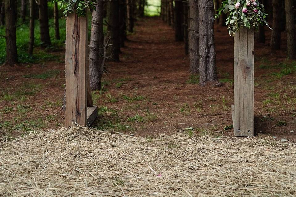 Pine Grove Ceremony Arch