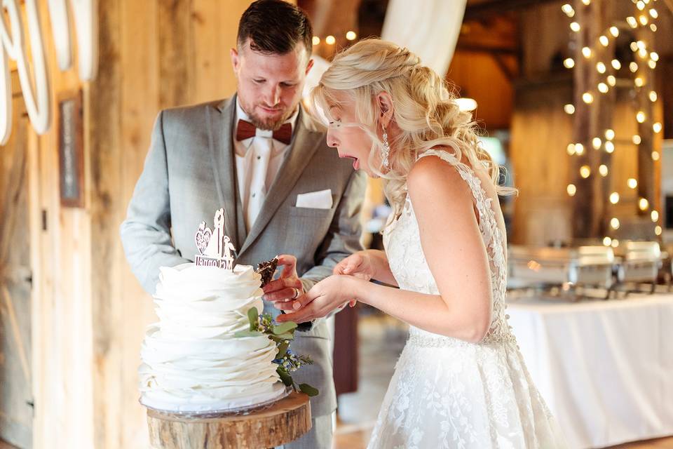 Cake Cutting Excitement