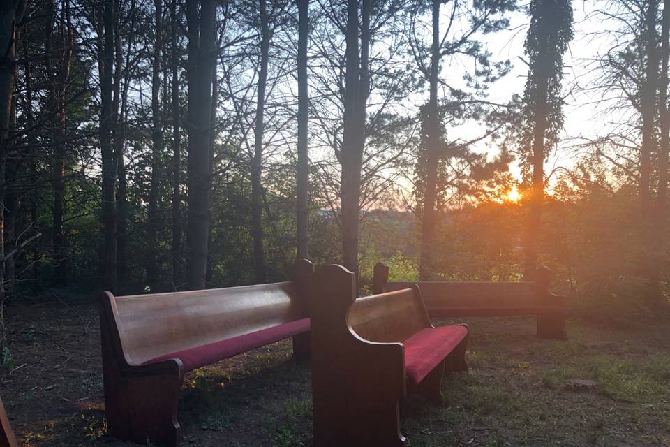 Church Pews in the Pines