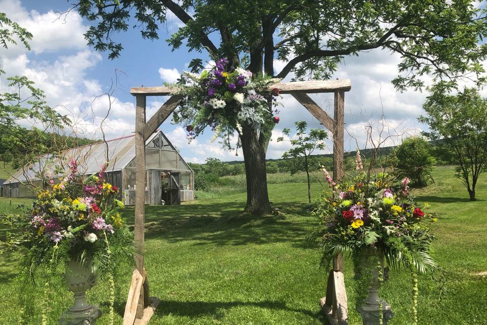 Walnut Tree Ceremony Arbor