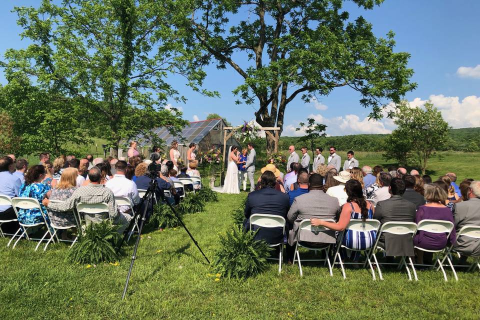 Walnut Tree Ceremony