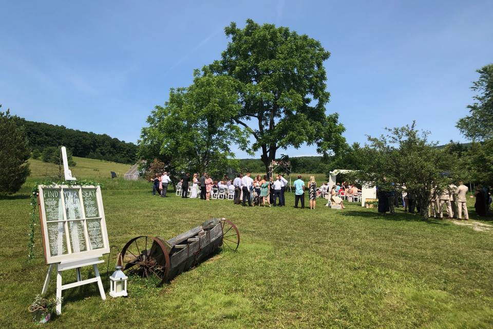 Walnut Tree Ceremony