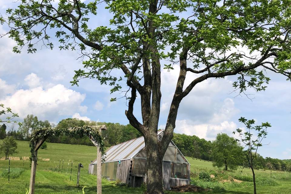 2019 Wedding at SanaView Farms