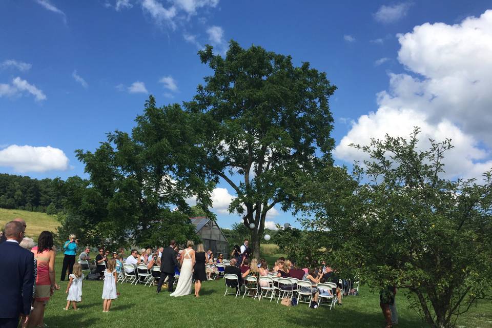 Walnut Tree Ceremony