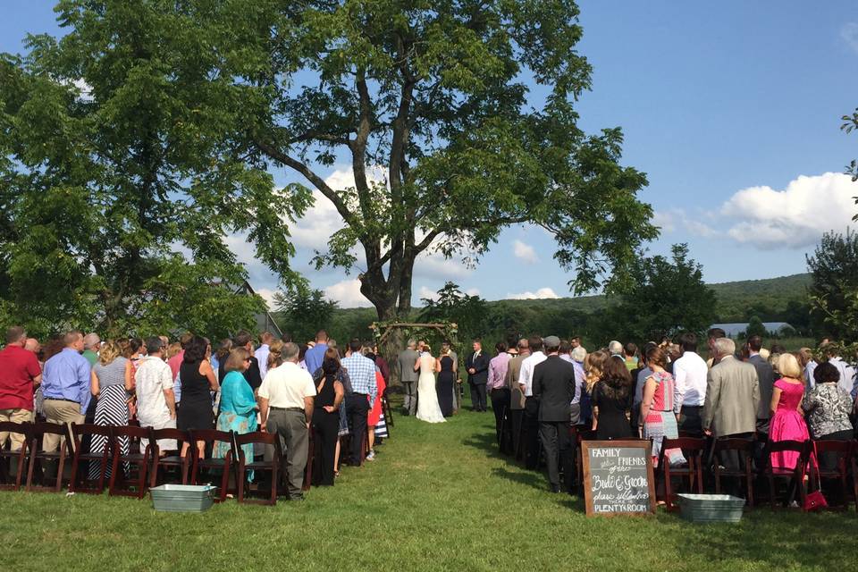 Walnut Tree Ceremony