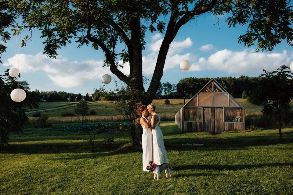 Couple under Walnut Tree