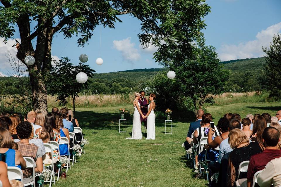 Walnut Tree Ceremony