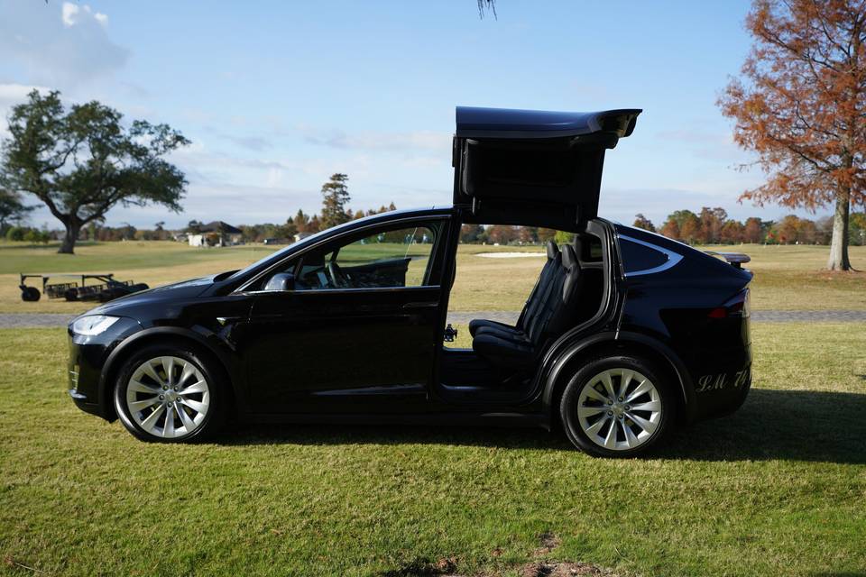 The New Tesla X