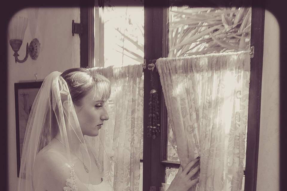 Bear Flag Photography