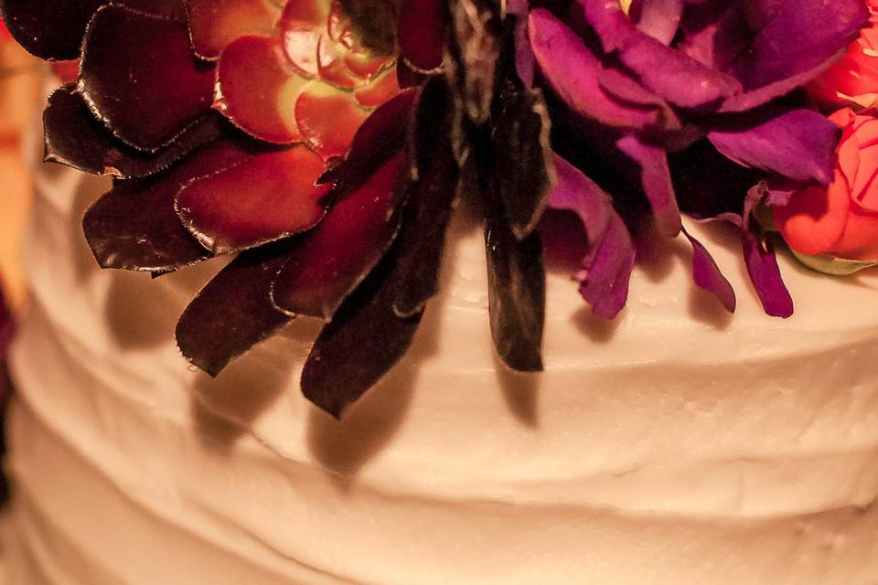 Bear Flag Photography